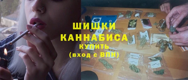 ПСИЛОЦИБИНОВЫЕ ГРИБЫ Новодвинск