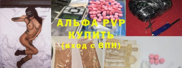 ПСИЛОЦИБИНОВЫЕ ГРИБЫ Новодвинск