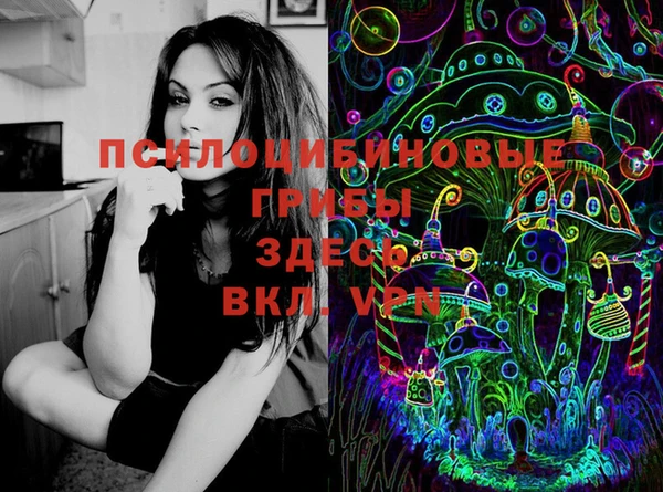 ПСИЛОЦИБИНОВЫЕ ГРИБЫ Новодвинск