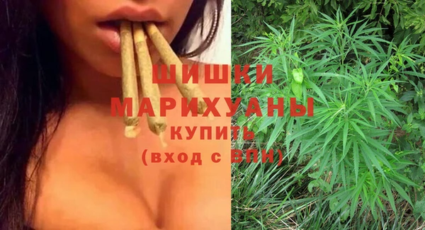 PSILOCYBIN Новокубанск