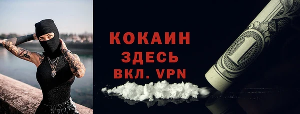 ПСИЛОЦИБИНОВЫЕ ГРИБЫ Новодвинск
